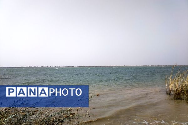 راهیان نور؛ سفری به قلب ایثار و شهادت 