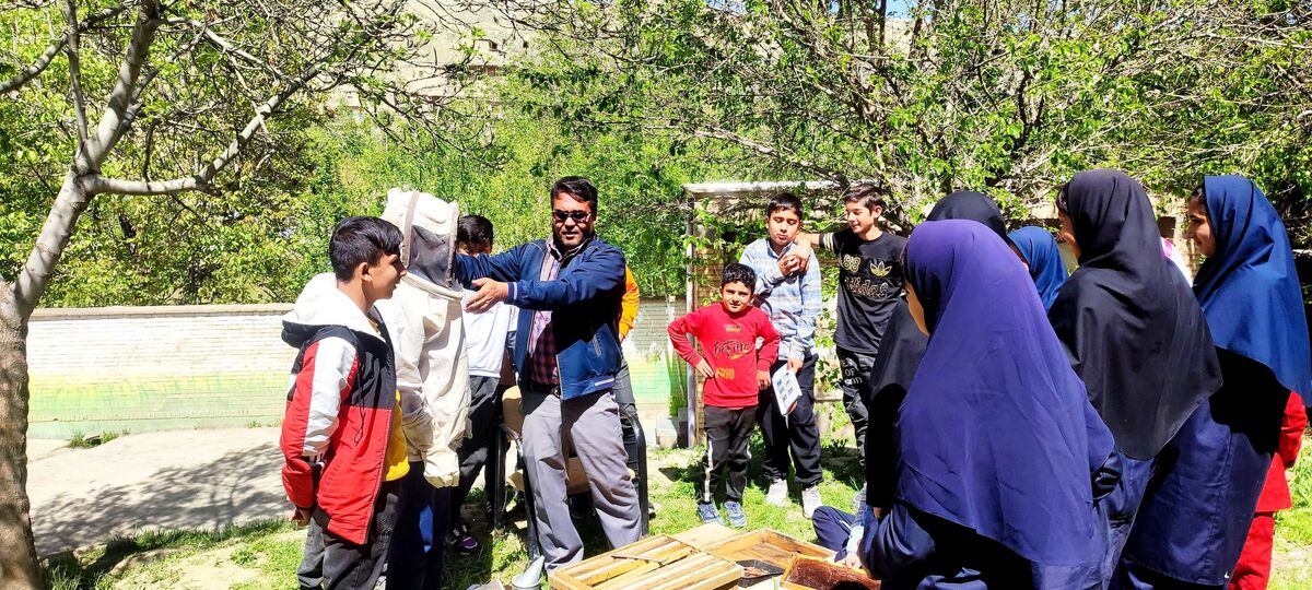 معلم «زنبور دار» کلاتی این حرفه را به دانش‌آموزان خود نیز می‌آموزد