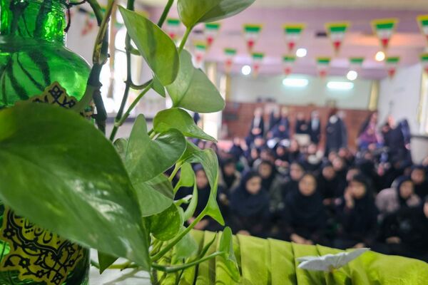 نوجوانان مهدوی در قاب پانا