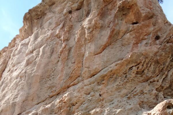 نقش برجسته تیمور از آثار باستانی در شهر کازرون 