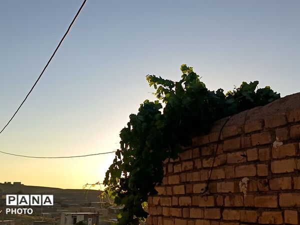 دیار برزنون،کوچه هایی آکنده از عطر بهار