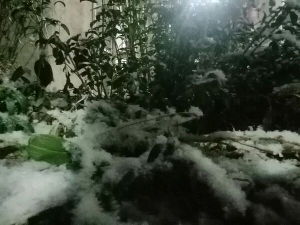 بارش برف پاییزی در شهرزیبای بار نیشابور 