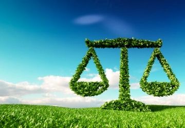 ضرورت ایجاد دادگاه‌های ویژه رسیدگی به پرونده‌های محیط زیستی