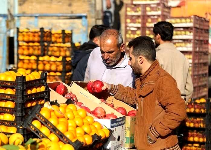 حدود ۴۰ تن از میوه شب عید به شهرستان فردیس اختصاص دارد