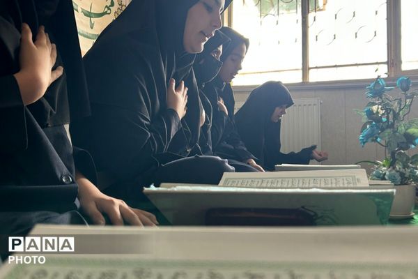 جوانه‌های ایمان در سایه‌سار قرآن