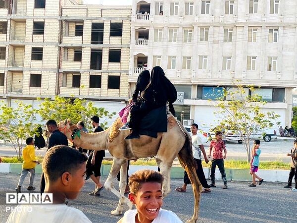 روایت حرکت کاروان عشق و وفاداری در میناب