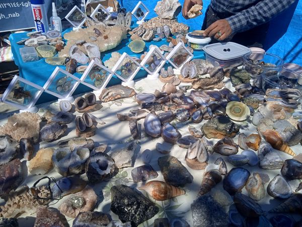 جشنواره ساحل نشینان خزر در محمود‌آباد