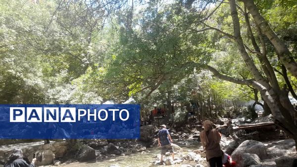 جاذبه‌های طبیعی «شهر کرد» به روایت خبرنگار پانا