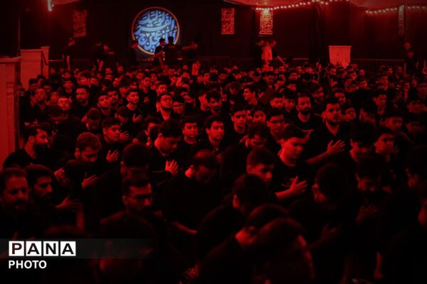 قاب های دیدنی از هیئت های مختلف تهران