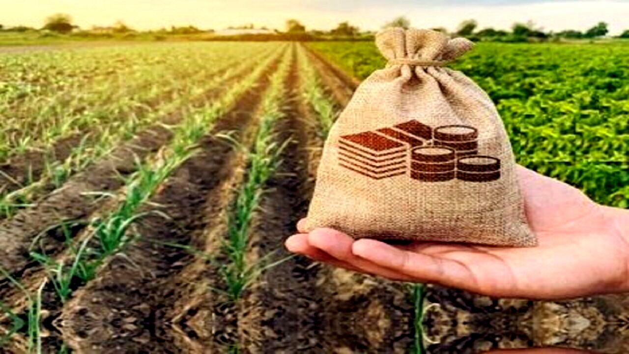 بدهی ۸ همتی صندوق بیمه کشاورزی تسویه شد