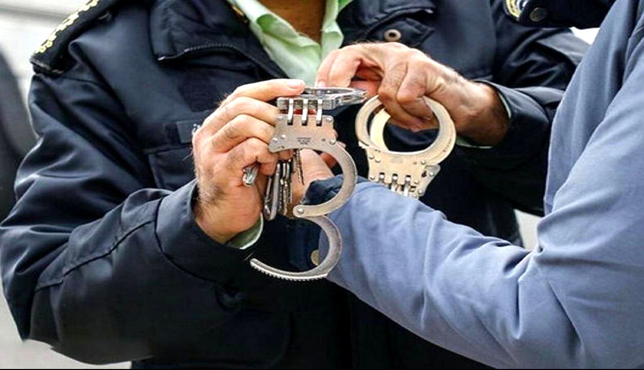 شرور خیابان انقلاب تهران بازداشت شد