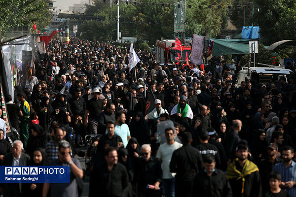 جاماندگان اربعین حسینی - تهران
