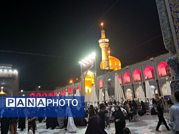 کبوتر حرم مشهد مقدس