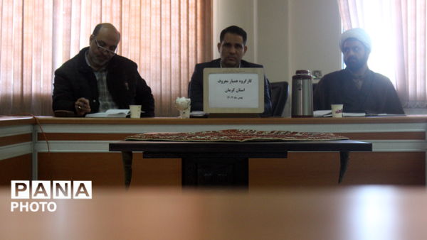 کارگروه طرح همیار معروف در کرمان