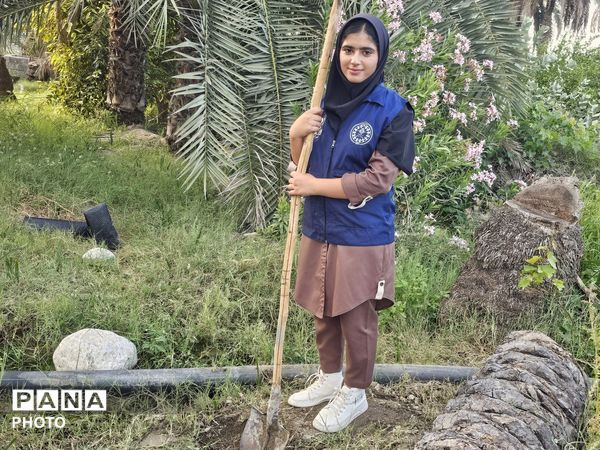 کاشت نهال به یاد دانش‌آموزان شهید مدرسه شجره طیبه میناب در سندرک