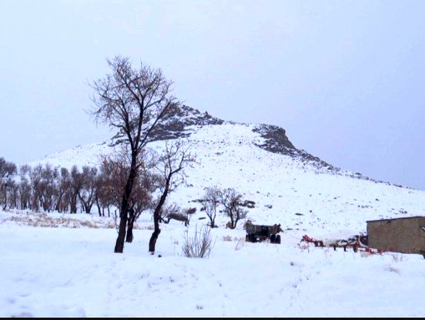برف زمستانی، مهمان شهرستان کیار