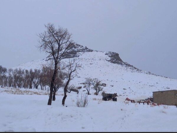برف زمستانی، مهمان شهرستان کیار