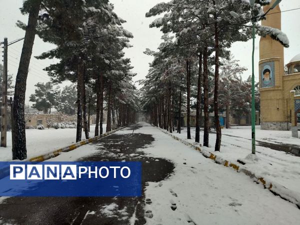 بارش برف در شهرستان تربت جام