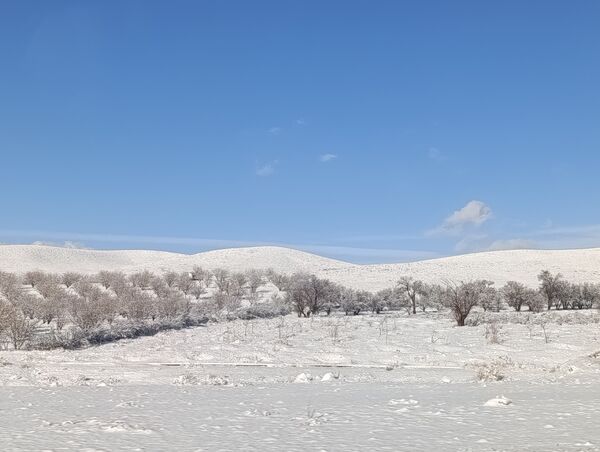 برف زمستانی مهمان شهرستان کیار شد