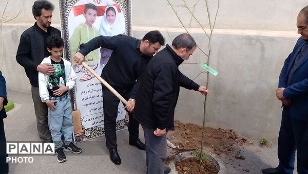 غرس نهال مثمر در کانون فرهنگی هنری شهید فهمیده مرند 