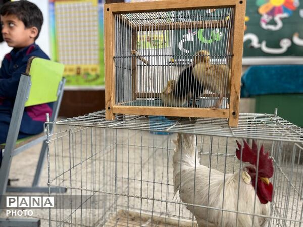 اجرای طرح لبخند، مهارت زندگی در خاتم