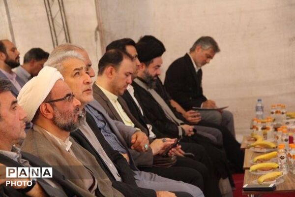 کاشت نهال زیتون در بام قیامدشت