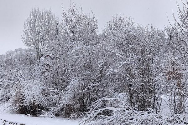 آسمان سخاوتمندانه نعمتش را در ماه شعبان به زمین شهر بار هدیه کرد