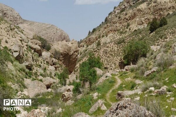 کوه های شهر بار ذخیره‌گاه گیاهان ارزشمند و کم نظیر دارویی 