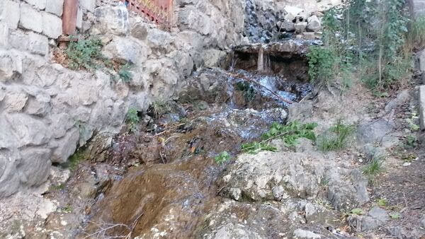 گردش یک روزه در شهر زیبای سامان