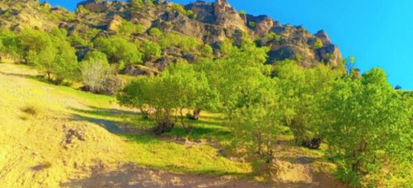 جاذبه‌های گردشگری روستای دوازده‌ امام 