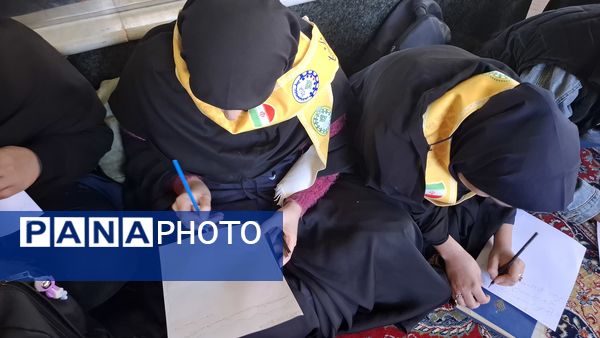 طرح اردوی تمشک در شهرستان دهدشت