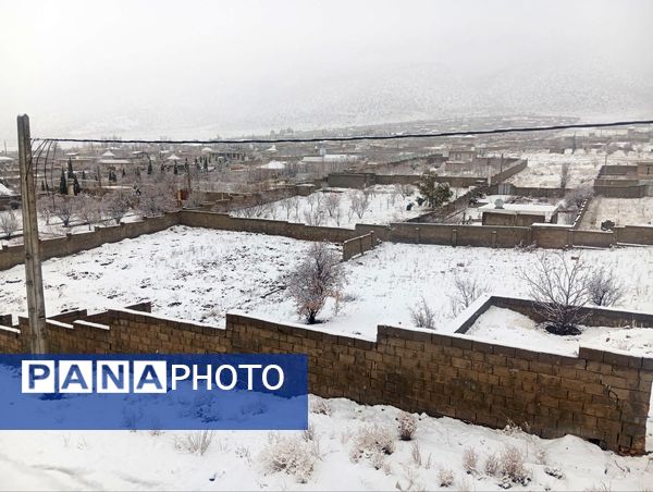 صبحی که خورشید جایش را به برف داد