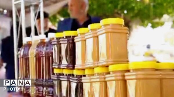 رونق اقتصاد روستایی و معرفی ارقام انگور در جشنواره هزاوه
