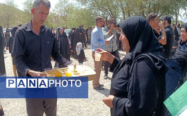 پیاده‌روی جاماندگان اربعین حسینی در یاسوج