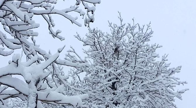 هدیه زمستان به دانش‌آموزان ؛ برف و شور بازی‌های کودکانه