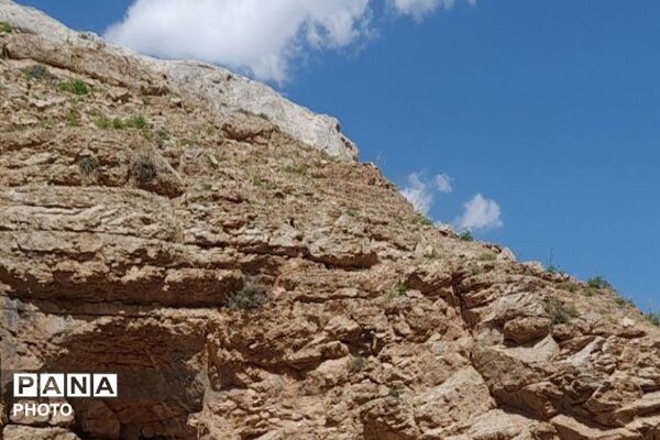 کوه های شهر بار ذخیره‌گاه گیاهان ارزشمند و کم نظیر دارویی 