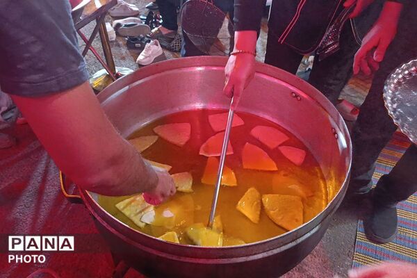 موکب عشاق الحسین(ع) تجلی خدمت و دلدادگی