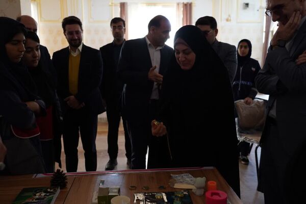 طرح تمشک در لرستان به ایستگاه پایانی رسید