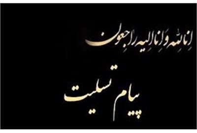 پیام تسلیت میدری در پی در گذشت سلیمی آشتیانی خیّر مدرسه سازی و سلامت