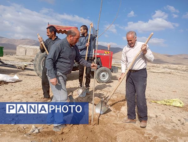 کاشت نهال در آرامستان روستای گزکوه