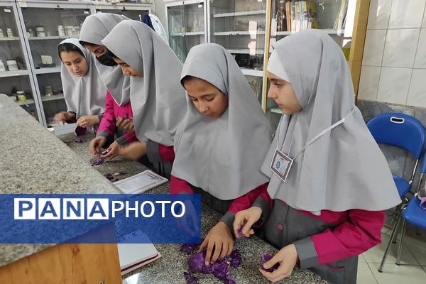 کارگاه «طعم یک پژوهش کوچک» در پژوهش سرای کاوش کهریزک