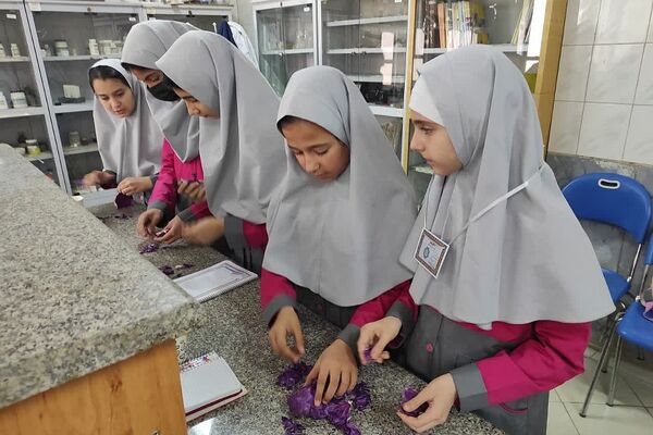 کارگاه «طعم یک پژوهش کوچک» در پژوهش سرای کاوش کهریزک