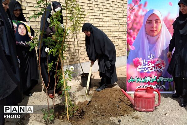 کاشت نهال به یاد یاسمن‌های میناب و شهیده دانش‌آموز نازنین زهرا سیفی 