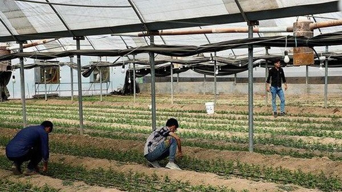 هنرستان‌ها باید در مرز دانش حرکت کنند