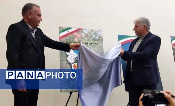 سومین گردهمایی سراسری تحقیقات باغبانی کشور 