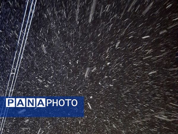 بارش برف در نقاط مختلف شهر مشهد مقدس