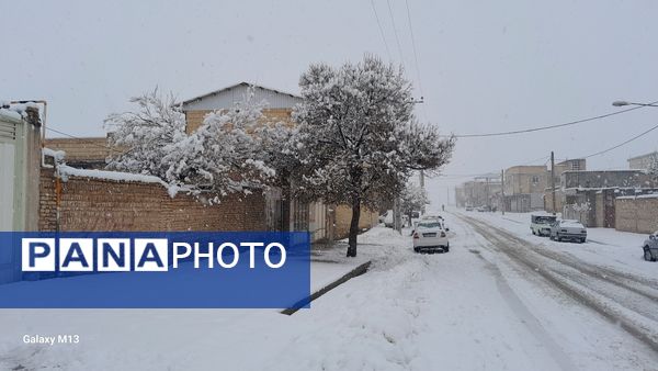 عروس فصل‌ها باری دیگر مهمان شهرستان بن