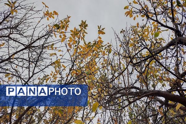 اولین باران پاییزی قابی شفاف از پاییز  رنگارنگ را در شهر زیبای بار رقم زد