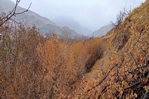 چهره شفاف و دل انگیز شهربارنیشابور با بارش  باران پاییزی  