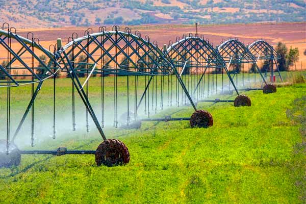 اعلام وصول یک طرح برای حمایت از تولیدات کشاورزی در شرایط جنگی